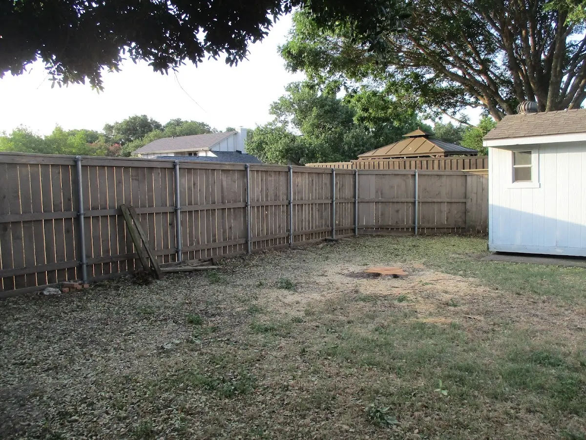 Cleared yard after professional tree removal in Pittsfield